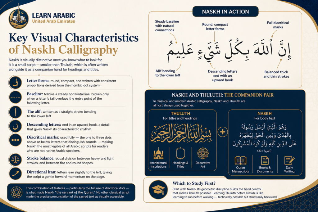 Arabic Calligraphy Naskh – The Complete Guide to Islam's Most Enduring Script 4 image 234
