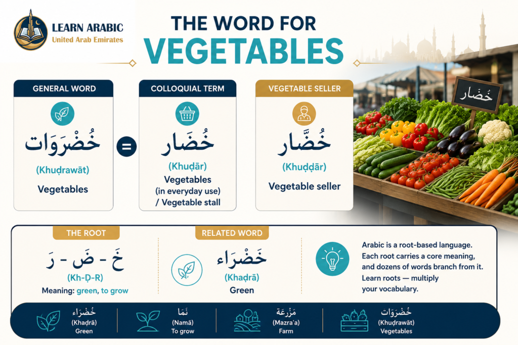 Vegetables in Arabic — The Complete Vocabulary Guide with Pronunciation 6 image 33