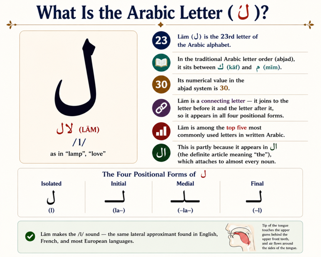 Arabic Letter Lam (ل) — Your Complete Guide to Pronouncing, Writing, and Using the Letter L in Arabic 1 image 249