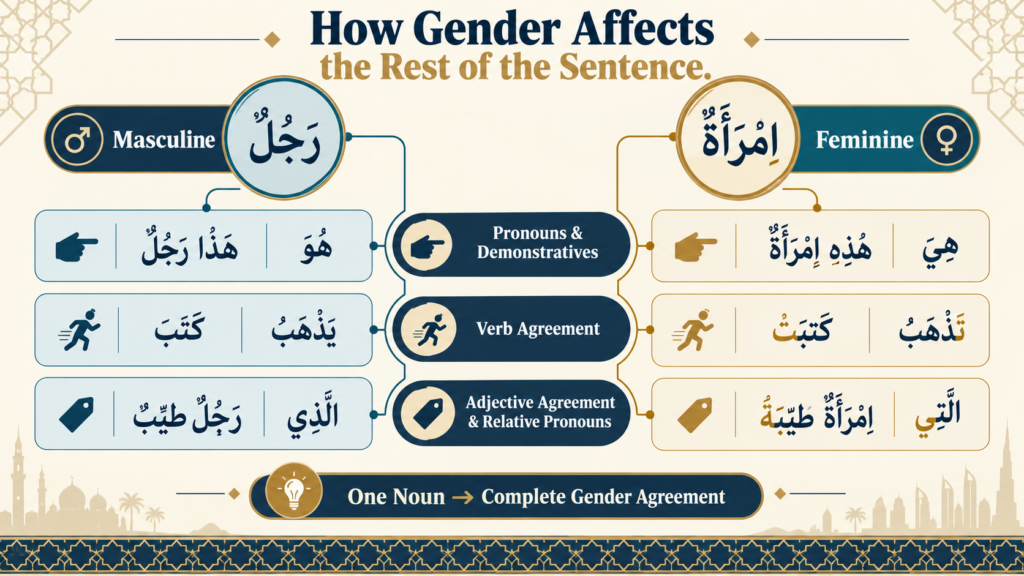 Masculine And Feminine Nouns In Arabic - 8 Simple And Proven Rules You Need To Know 3 image 124
