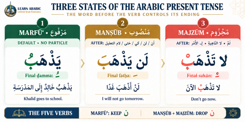 Arabic Present Tense